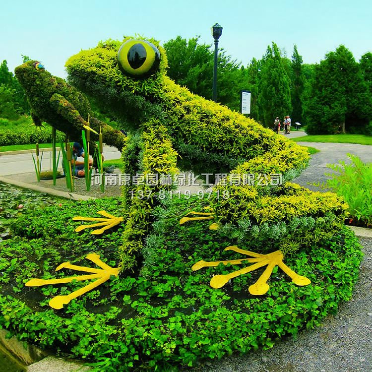 青蛙五色草立体花坛造型