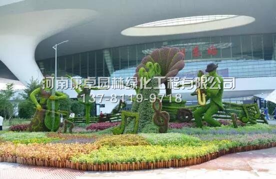 美丽的五色草千变万化