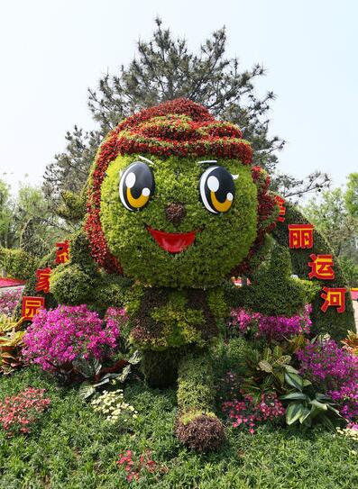 美丽的五色草千变万化