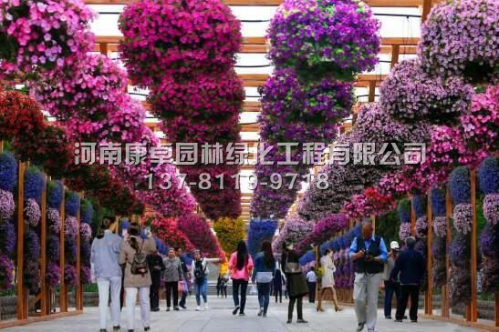 中轴线布展规模宏大 彰显皇家园林气派
