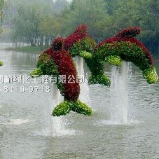 立体花坛造型海豚造型