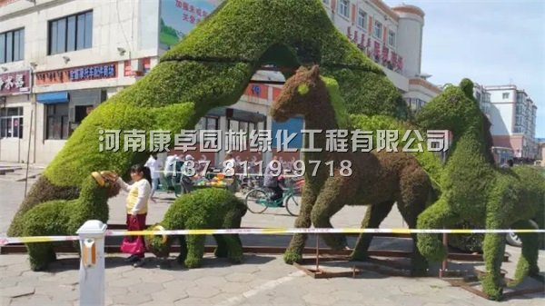 鄂温克旗五色草造型雕塑，精彩继续