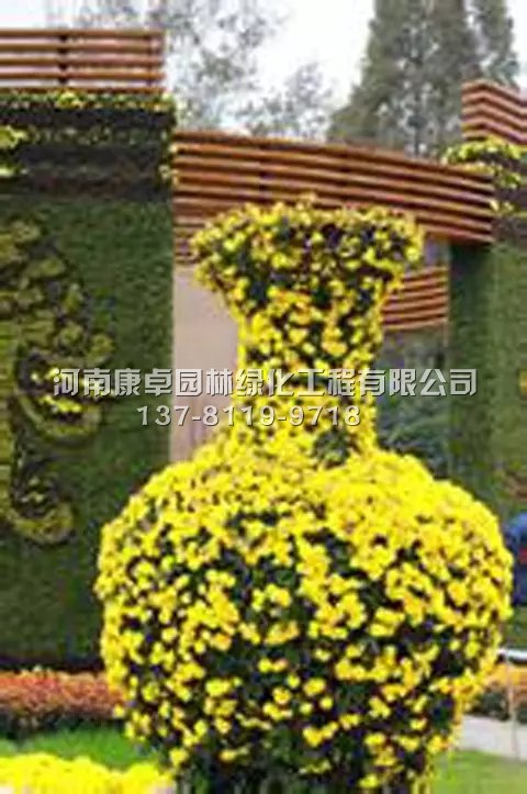 几种主要的菊花造型特点
