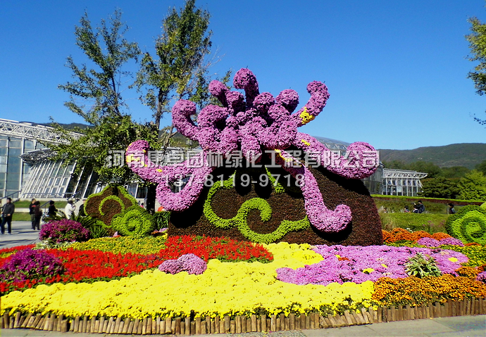 菊花造型在景观环境的中的作用