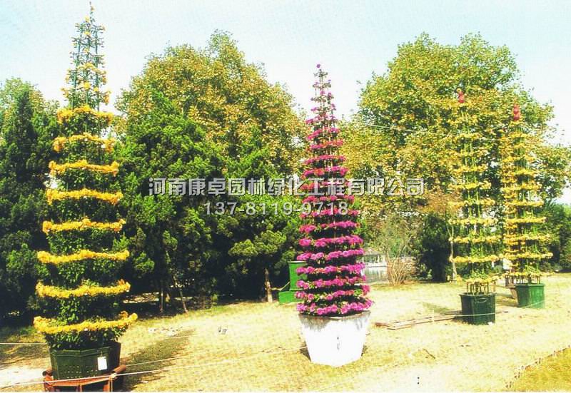 菊花造型在景观环境的中的作用