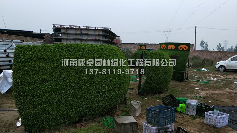 安徽铜陵2017国庆立体花坛