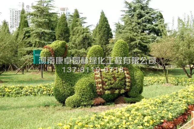 几种五色草造型的做法