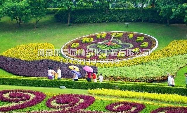 五色草造型影响大家的生活