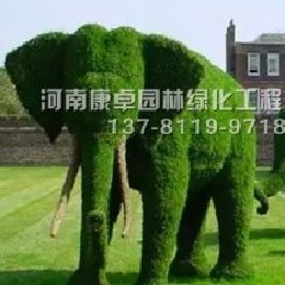 五色草造型大象
