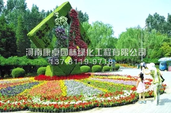 五色草造型有哪些特点
