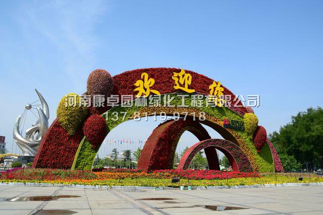 五色草造型有哪些特点