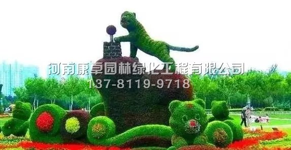 五色草造型有哪些特点