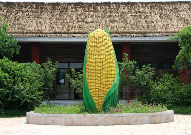 雕塑玉米