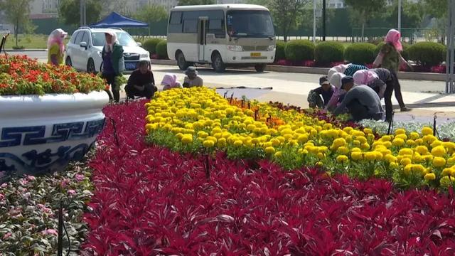 贺兰山体育场立体花坛盛装迎接自治区60大庆！