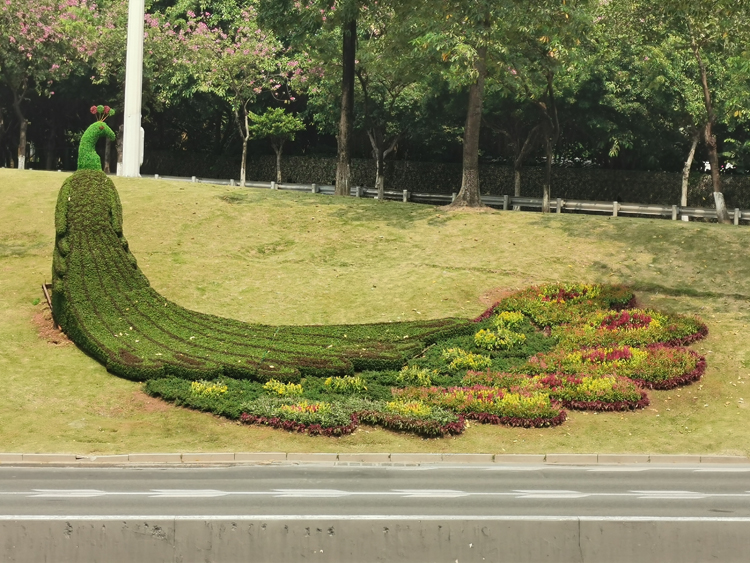 五色草造型,立体花坛,绿雕