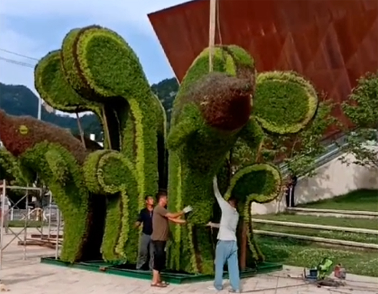 立体花坛,五色草造型,绿雕