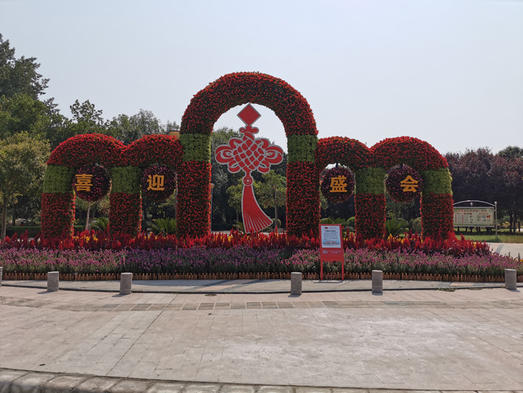 五色草造型,立体花坛,绿雕