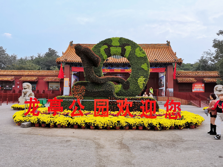 立体花坛,五色草造型,绿雕