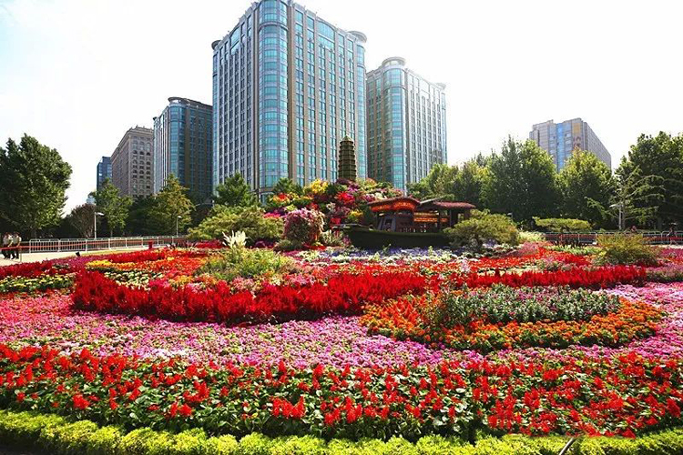 立体花坛,五色草造型,绿雕