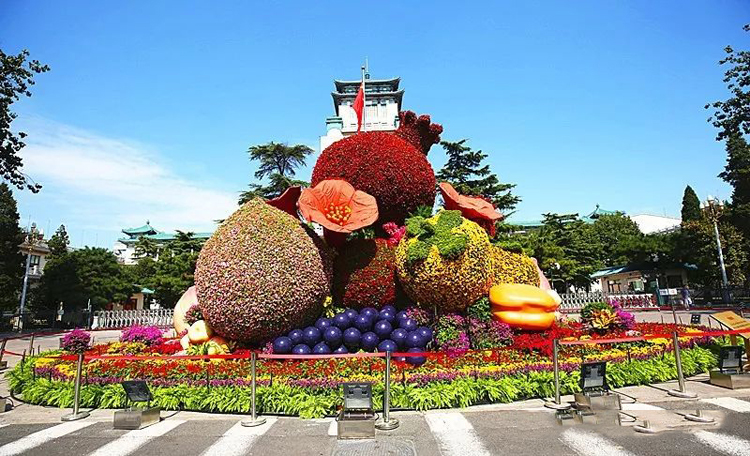 立体花坛,五色草造型,绿雕
