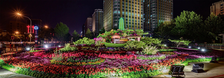 立体花坛,五色草造型,绿雕,菊花造型