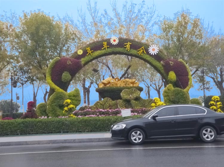 立体花坛,五色草造型,绿雕
