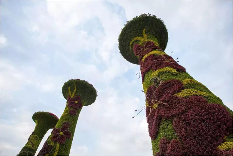 立体花坛,五色草造型,绿雕