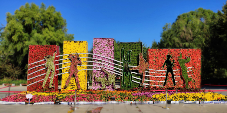 立体花坛,五色草造型,绿雕