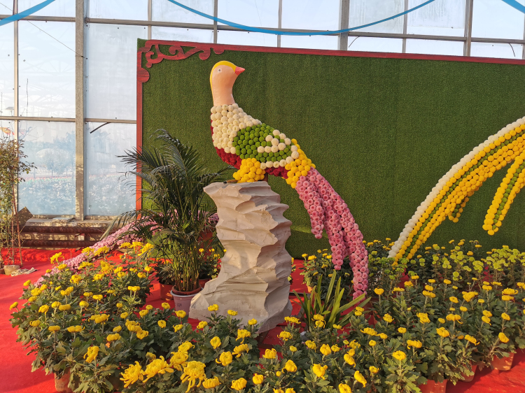 建党100周年立体花坛